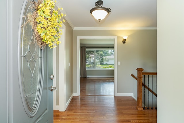 foyer featuring crown molding and hardwood / wood-style floors