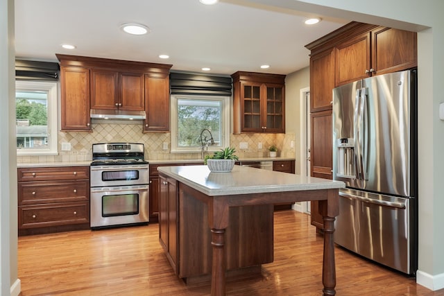 kitchen with a wealth of natural light, light wood-type flooring, and stainless steel appliances