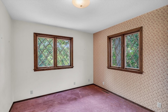 spare room featuring carpet floors