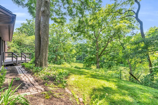 view of yard featuring a wooden deck