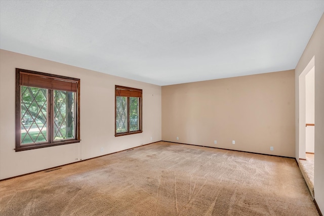 unfurnished room with light carpet and plenty of natural light