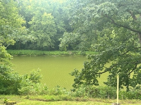 view of water feature