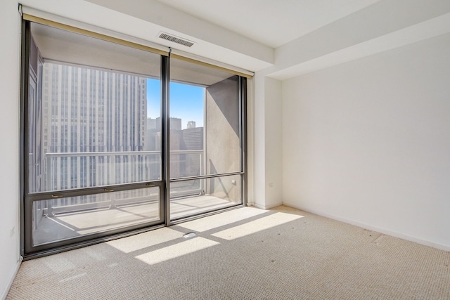 unfurnished room with carpet floors