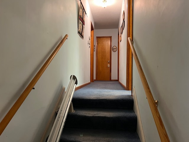 staircase featuring carpet flooring