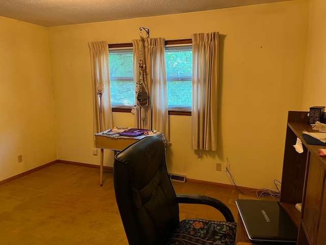 interior space featuring a textured ceiling and light carpet