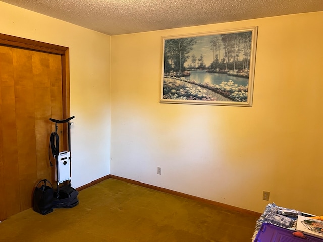 empty room featuring carpet floors and a textured ceiling