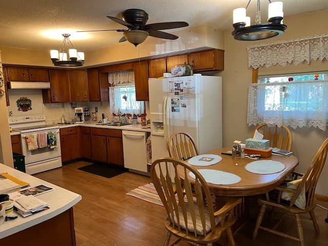 kitchen with pendant lighting, white appliances, and plenty of natural light