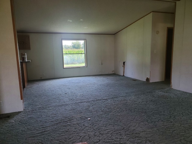 carpeted spare room with a textured ceiling