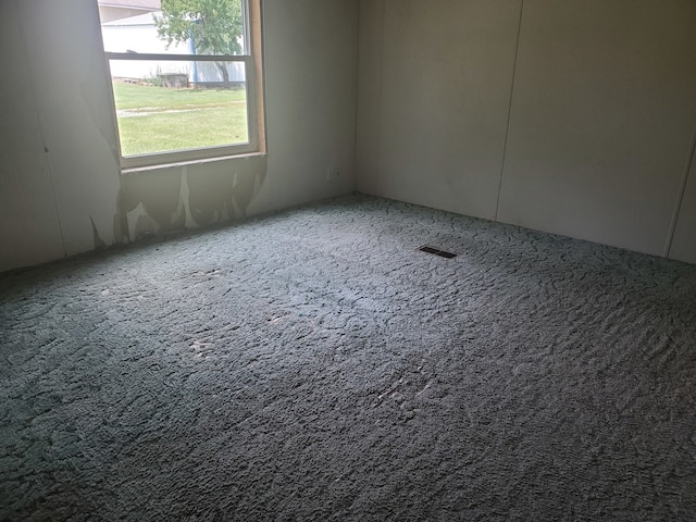 spare room with carpet floors