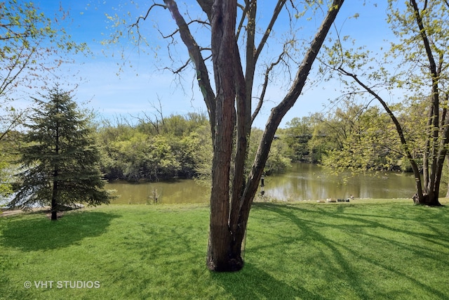 view of yard featuring a water view