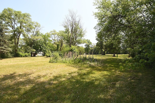 16825 Wolf Rd, Orland Park, IL 60467