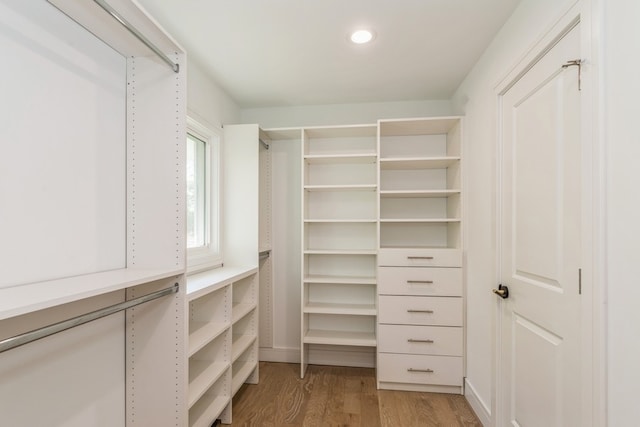 walk in closet with light wood-type flooring