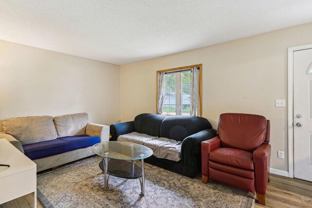 living room with a textured ceiling and hardwood / wood-style floors