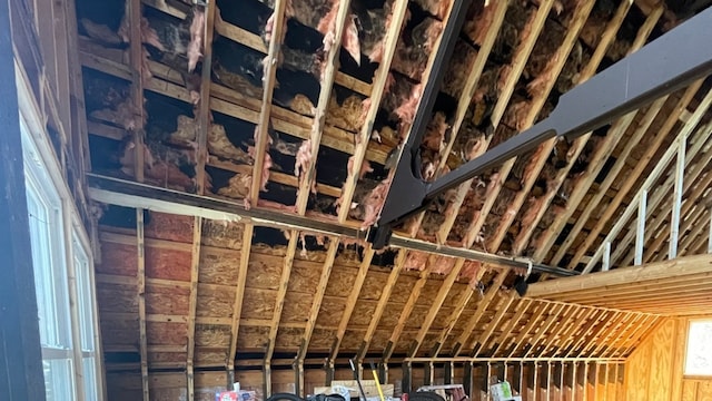 miscellaneous room featuring vaulted ceiling