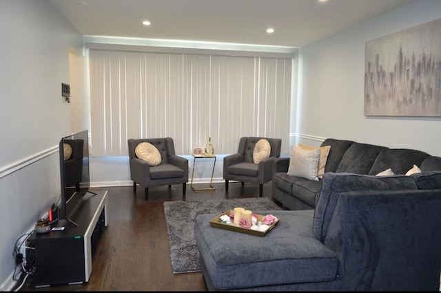 living room featuring dark hardwood / wood-style flooring