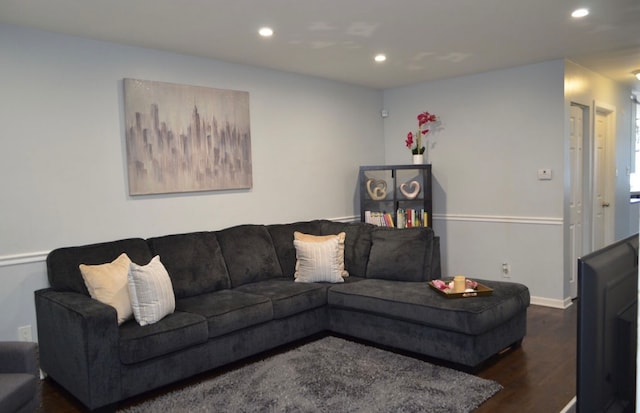 living room featuring dark hardwood / wood-style flooring