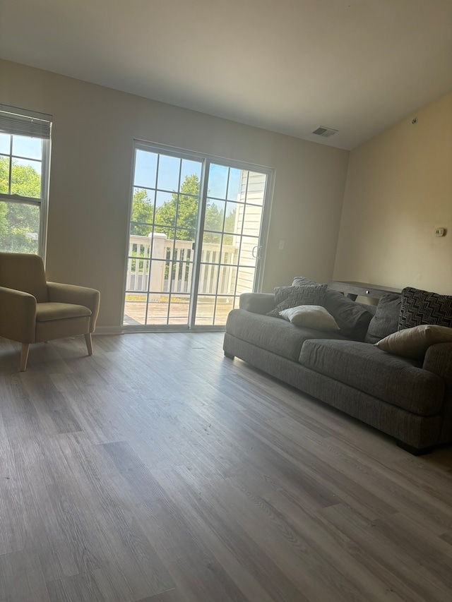 living room featuring a healthy amount of sunlight and hardwood / wood-style flooring