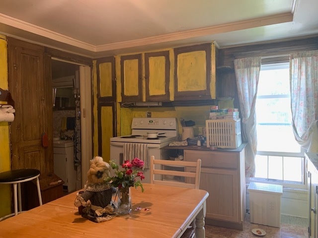 kitchen featuring ornamental molding, plenty of natural light, and electric stove