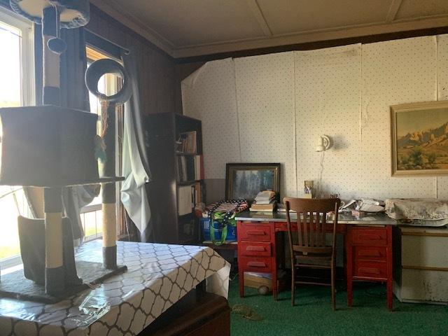 bedroom featuring carpet flooring and ornamental molding