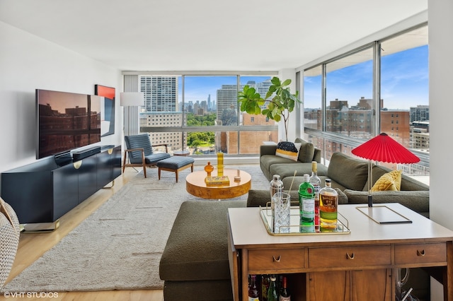 living room with floor to ceiling windows and light hardwood / wood-style floors