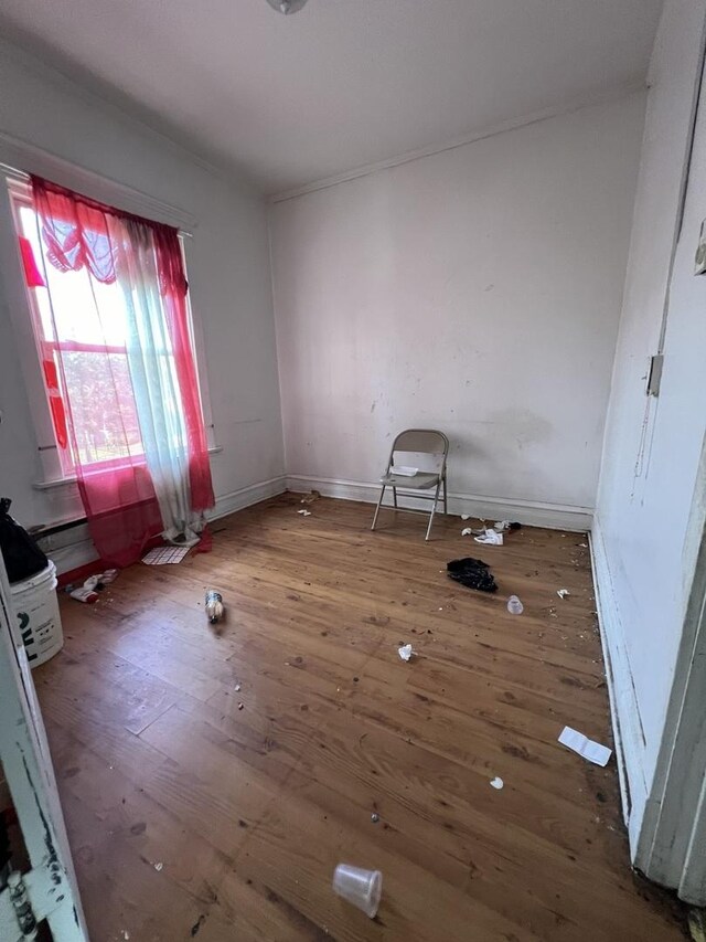 spare room featuring wood-type flooring