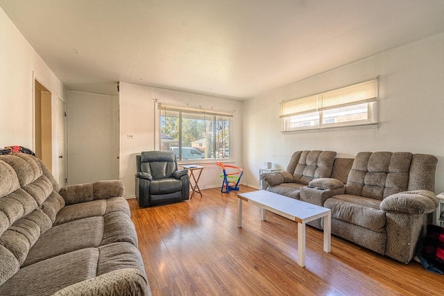 living room with light wood-type flooring