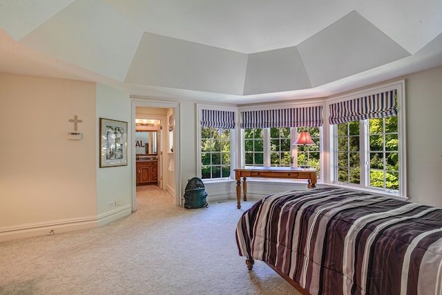 carpeted bedroom featuring a raised ceiling and ensuite bath