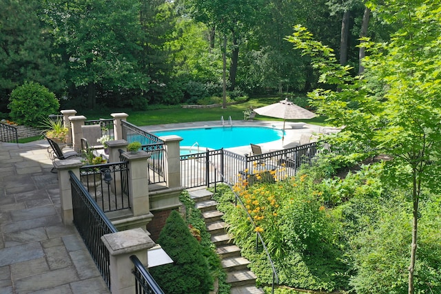 view of swimming pool featuring a patio area