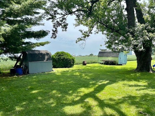 view of yard featuring a storage unit