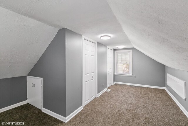 additional living space with carpet flooring, a textured ceiling, and vaulted ceiling