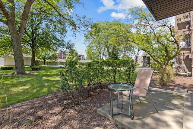 view of yard featuring a patio area