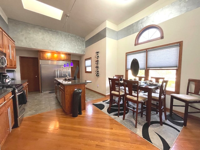 kitchen featuring light hardwood / wood-style floors, appliances with stainless steel finishes, a skylight, and a kitchen island with sink