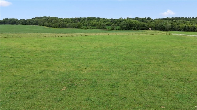 view of local wilderness with a rural view