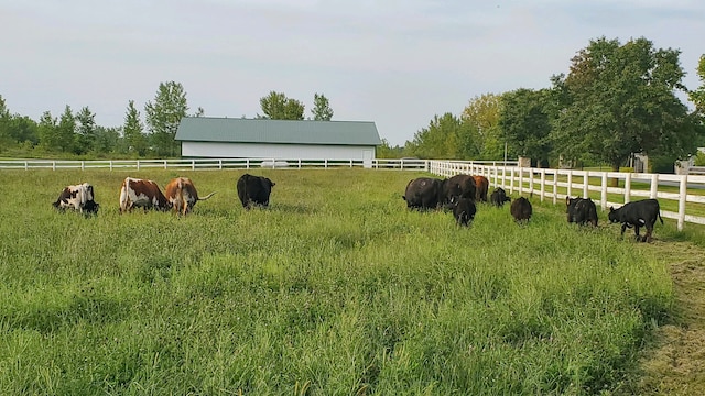 view of yard with a rural view