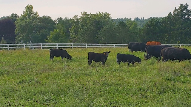 view of yard featuring a rural view