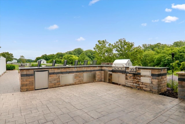 view of patio / terrace with area for grilling