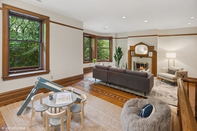 living room featuring light hardwood / wood-style flooring, plenty of natural light, and a fireplace