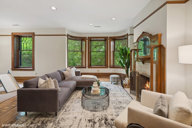 living room featuring a fireplace and hardwood / wood-style floors