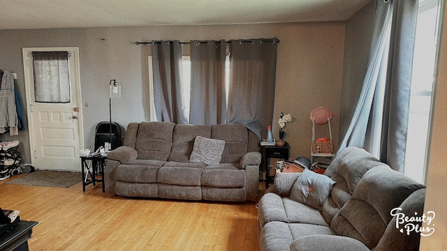 living room featuring light hardwood / wood-style flooring and a wealth of natural light