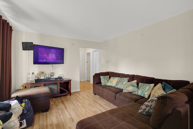 living room featuring light hardwood / wood-style flooring