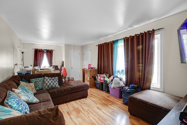 living room featuring light hardwood / wood-style flooring