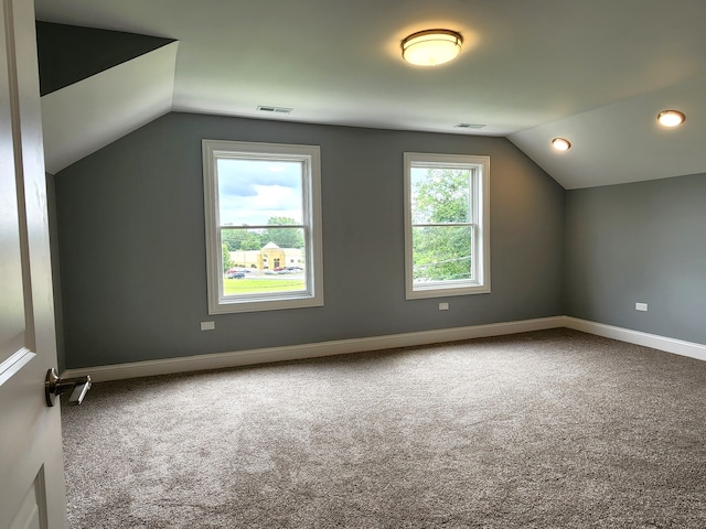 additional living space with carpet flooring and vaulted ceiling