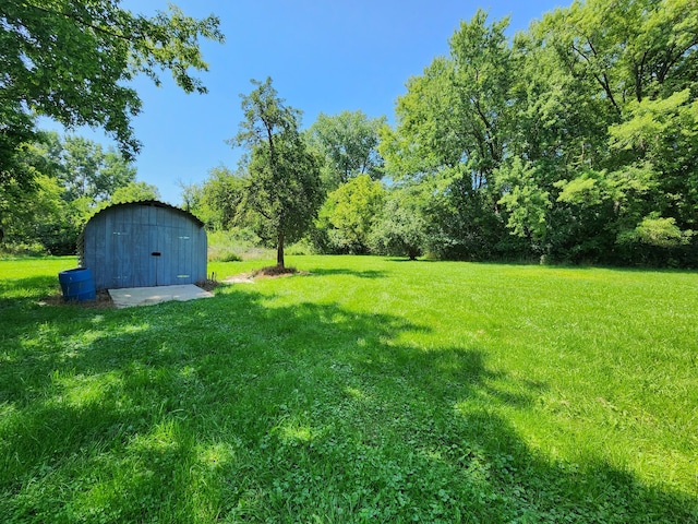 view of yard with a storage unit