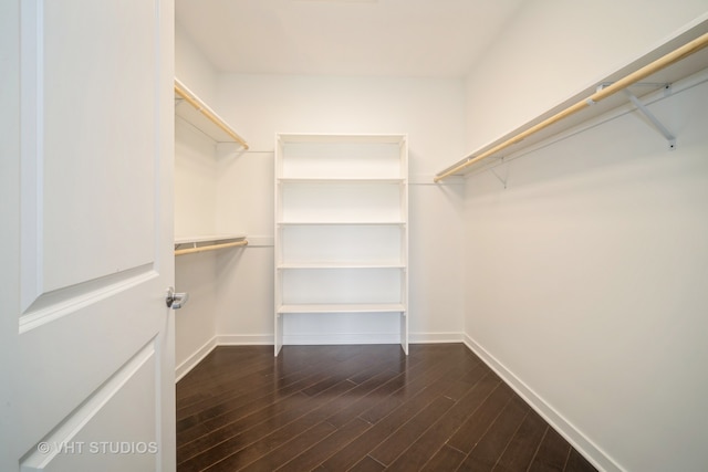 spacious closet featuring hardwood / wood-style flooring