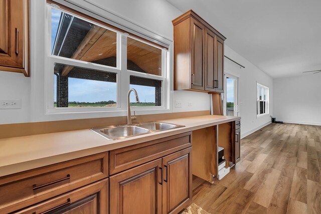 kitchen with light hardwood / wood-style floors, sink, and plenty of natural light