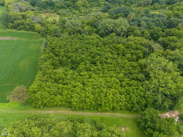 bird's eye view with a forest view