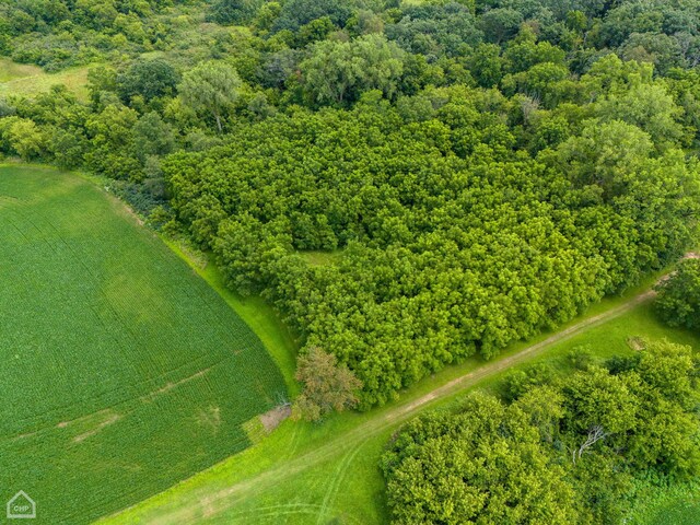 drone / aerial view featuring a rural view