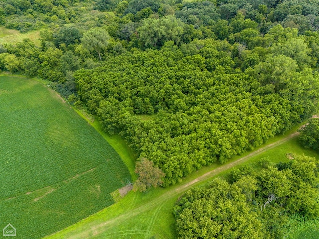 drone / aerial view with a rural view and a view of trees