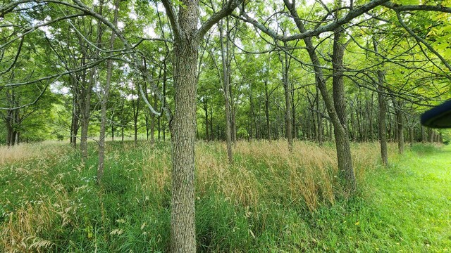 view of landscape