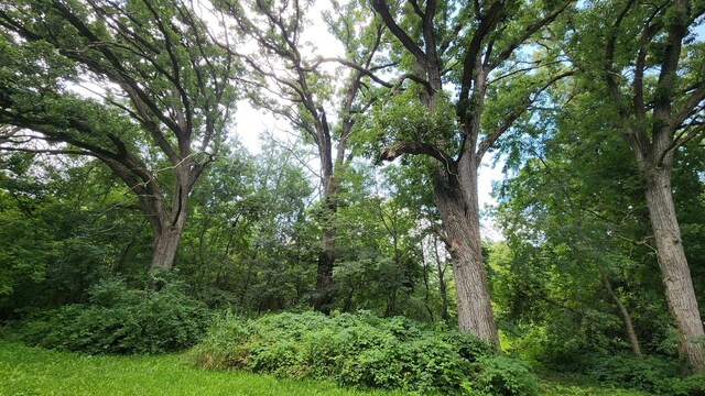 view of landscape